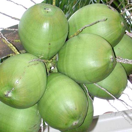 Green coconut