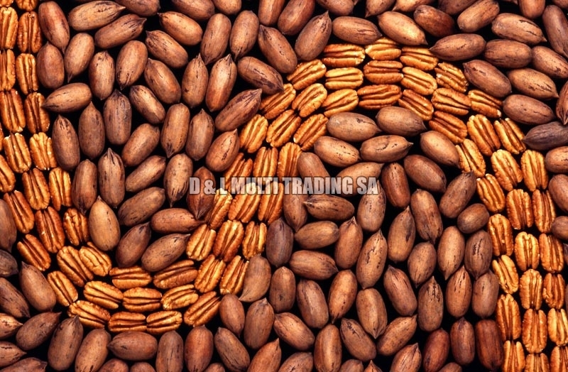Pecan Nuts