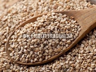 Sesame Seeds 1