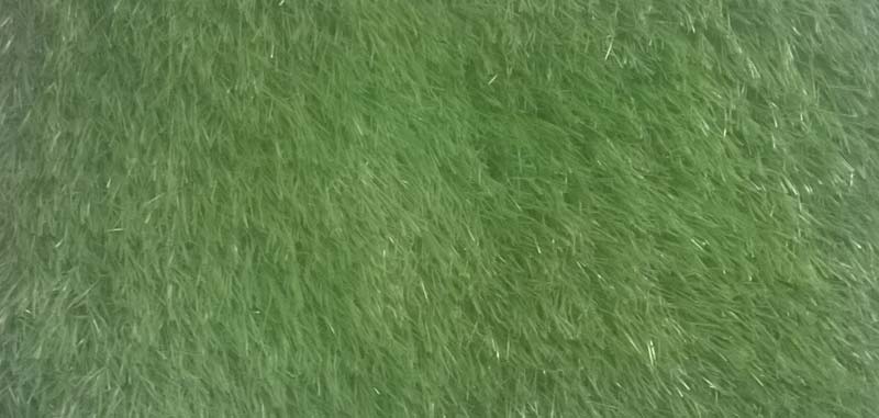 Plastic Artificial Grass, for Garden, Play Ground, Wedding Ground, Pattern : Plain