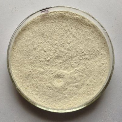 tamarind seed powder