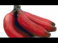 red banana