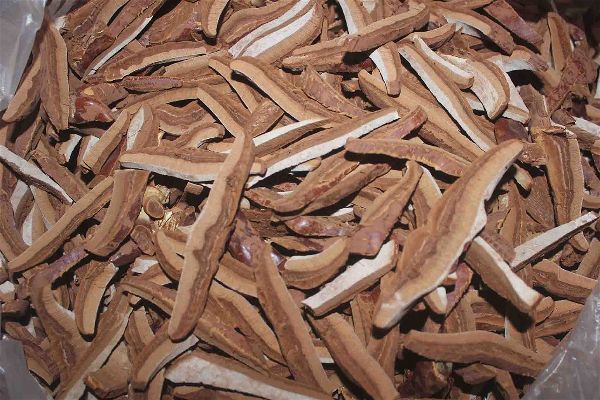Ganoderma Mushroom Strips/ Chips