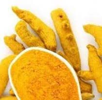 Kadapa Turmeric Finger