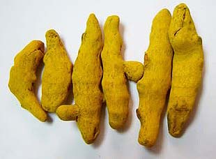 Selem Kani Turmeric Finger