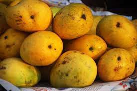 Fresh Balamani Mango