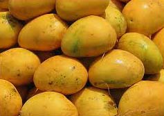 Fresh Banganapalle Mango