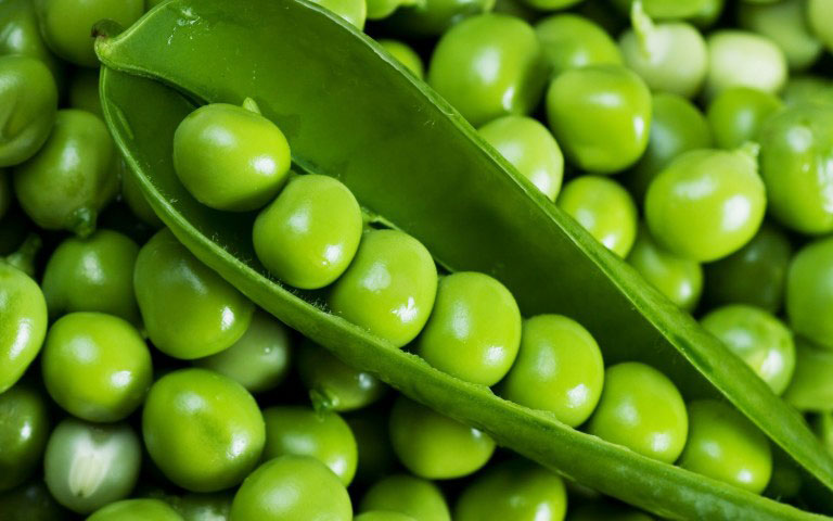 Fresh Green Peas, Packaging Type : Jute Bags