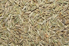 Cumin seeds