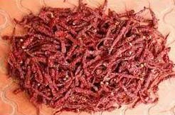 Karnataka Dried Red Chilli