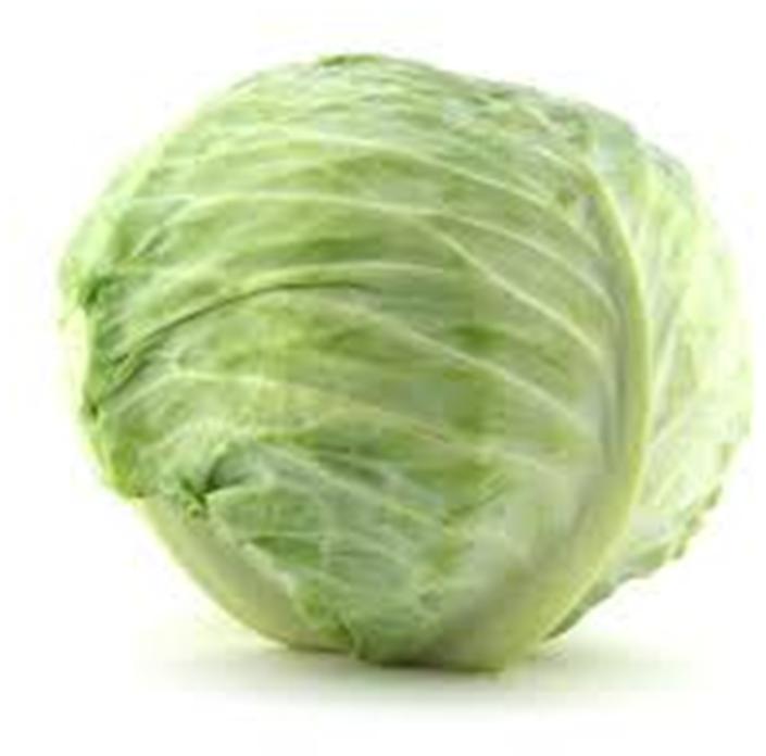 cabbage