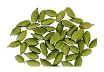 Green Cardamom