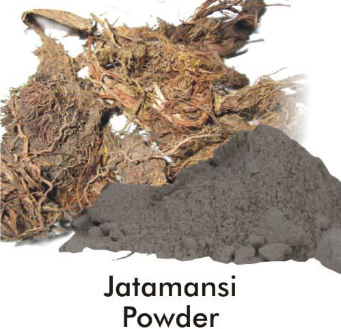 Natural Jatamansi Powder, Packaging Type : Polythin Pak
