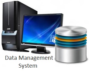 Database Management Services