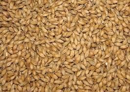 Barley Seeds