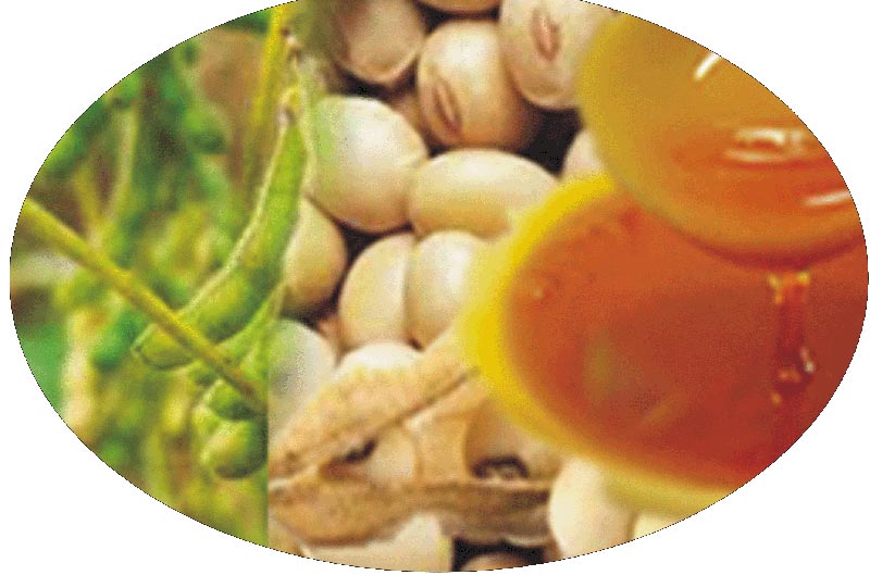Soya Lecithin Feed Grade by SAO Agronomy India Pvt Ltd, Feed Grade Soya Lecithin ID 1159482