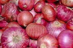 Fresh red onion