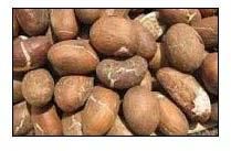 Bitter Kola Nuts