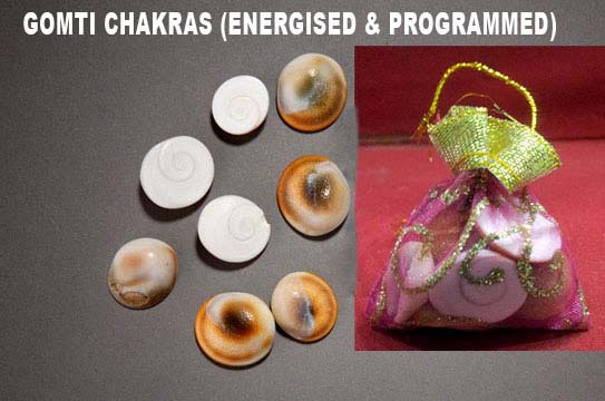 Gomti Chakra Energised & Programmed