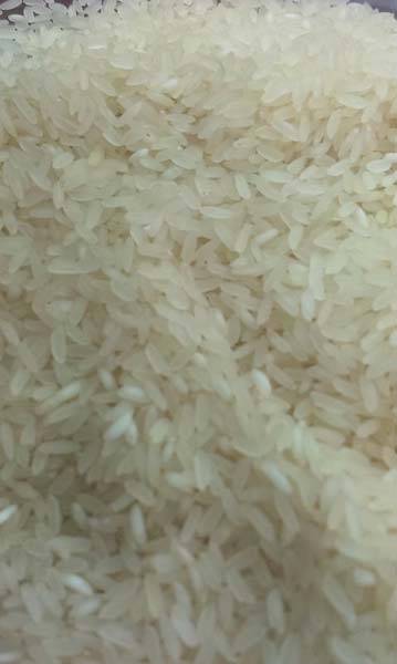 Hard Thanjavur Ponni Rice, Variety : Short Grain