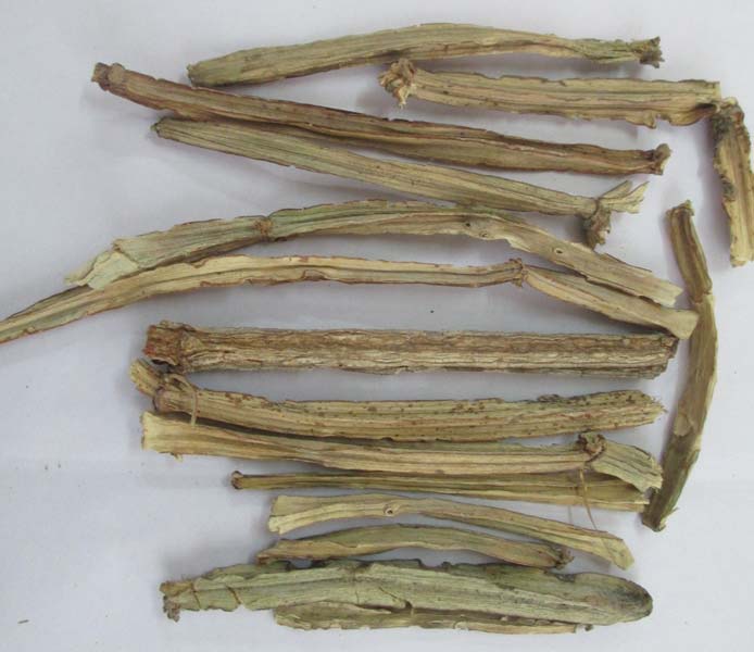 Dried Cissus Quadrangularis