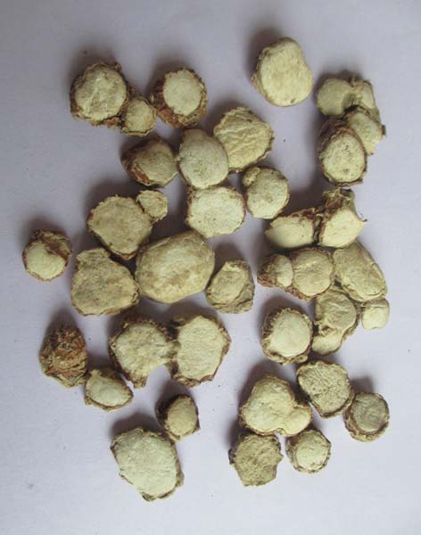 Dried Curcuma Zedoaria