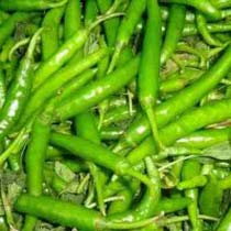 fresh green chilli