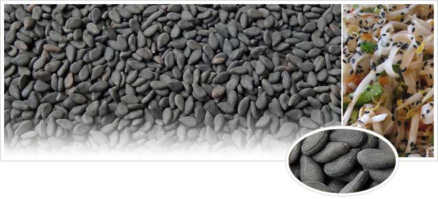 Natural Black Sesame Seeds, for Agricultural, Making Oil, Style : Dried