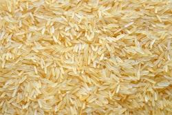 1121 Light Golden Basmati Rice, Shelf Life : 18 Months