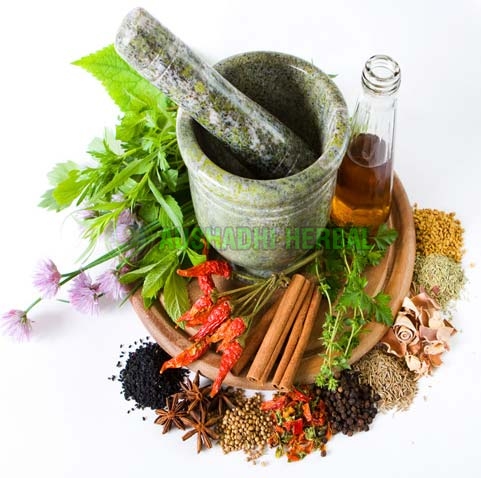Herbal Extracts Manufacturers In Delhi