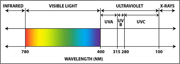 UV Process