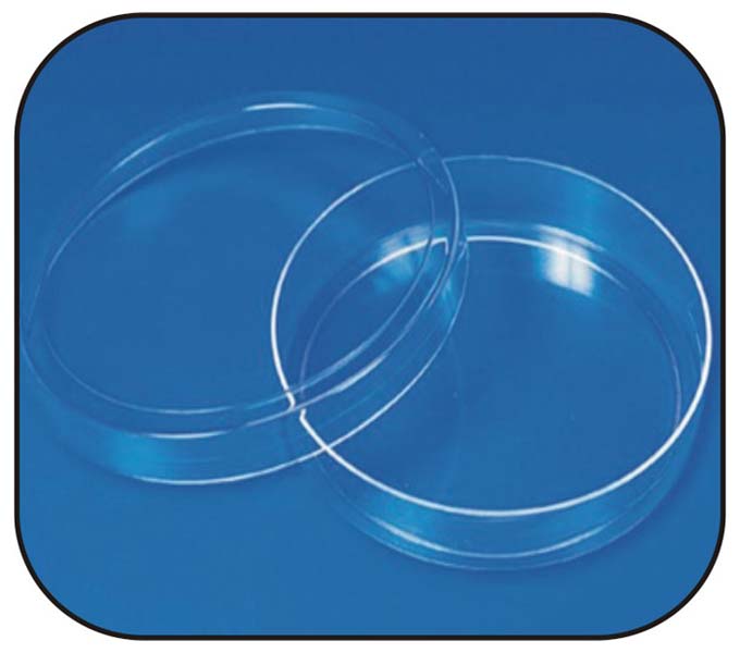 Petri Dish Plastic
