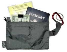 Passport Bags