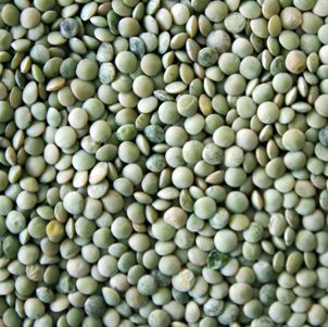 Eston Green Lentils