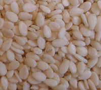 Hulled Sesame Seeds Best Price
