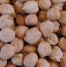 New Crop Kabuli Chickpeas 9 Mm, 2014 From South Africa