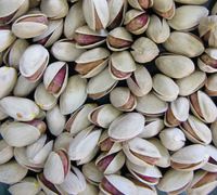 pistachio nuts