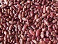 red kidney beans