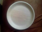 Areca leaf plate Round 12\'