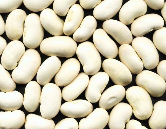 White Kidney Bean Extract