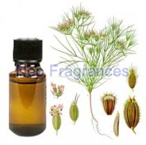 Neo Fragrances Cumin Seed Oil, Certification : GC, GCMS