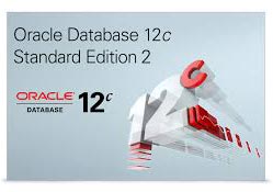 Oracle 11g/12c Std Edition 2 for Windows/Linux Licence only (1 CPU) ra