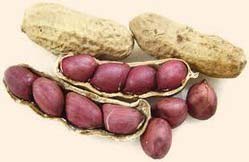 Shelled Groundnuts