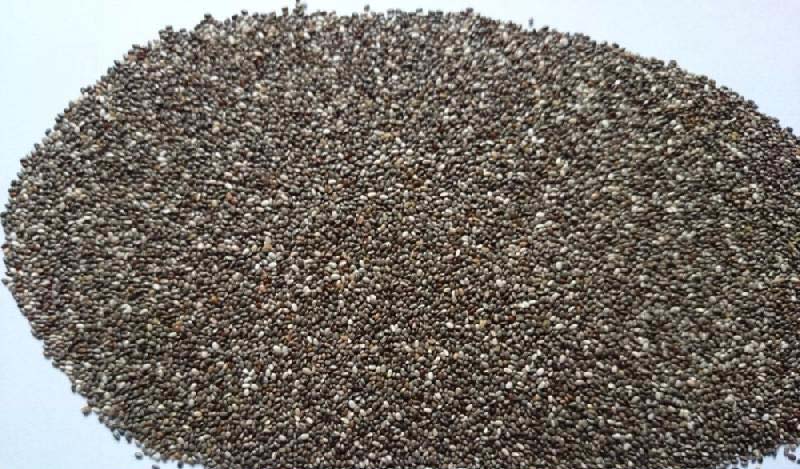 Bulk Hemp Seeds, Chia Seeds, Goji Seeds, Moringa Seeds