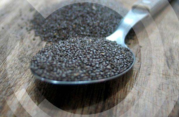 Chia Seeds Sale (Export)