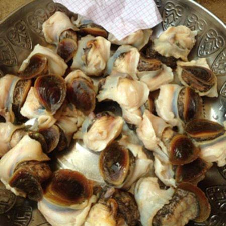 Frozen Seafood Conch