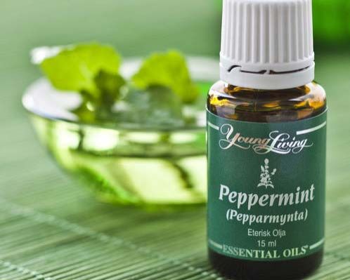 Peppermint Oil Dementholized