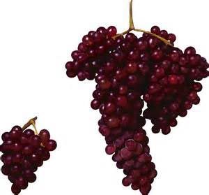Red Grape