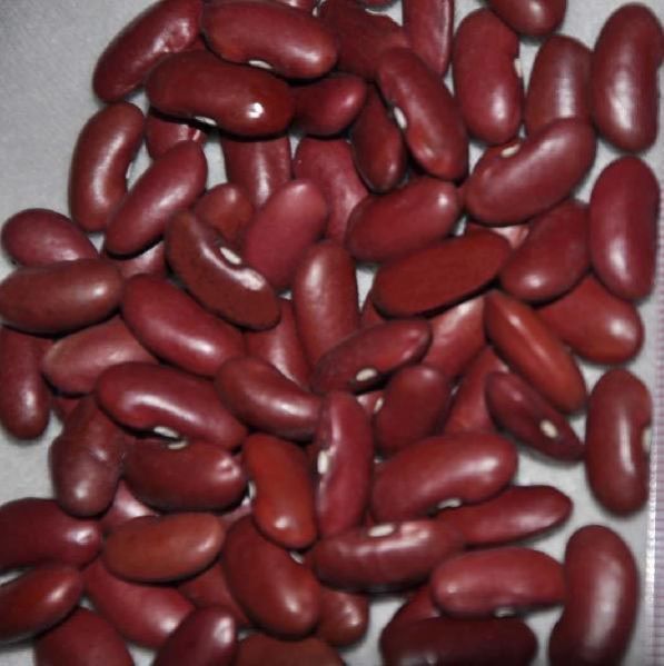 red kidney beans