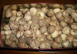 Whole and Split Betel Nut